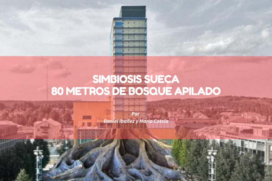 SIMBIOSIS SUECA 80 METROS DE BOSQUE APILADO Artículo de Daniel Ibañez y Maria Cotela