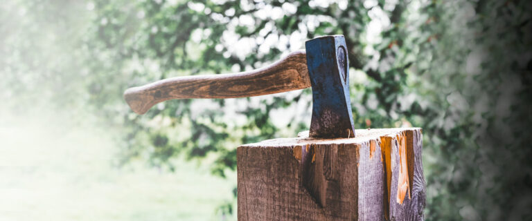 SINERGIAS. Los beneficios de combinar la madera con otros materiales.