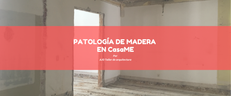 PATOLOGÍA DE MADERA EN CasaME