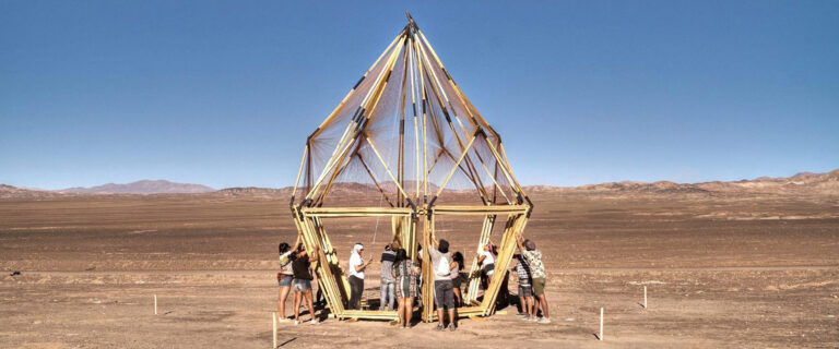 FLOR GEOMETRIZADA EN EL DESIERTO DE ATACAMA #ARQUITECTURADEMADERA