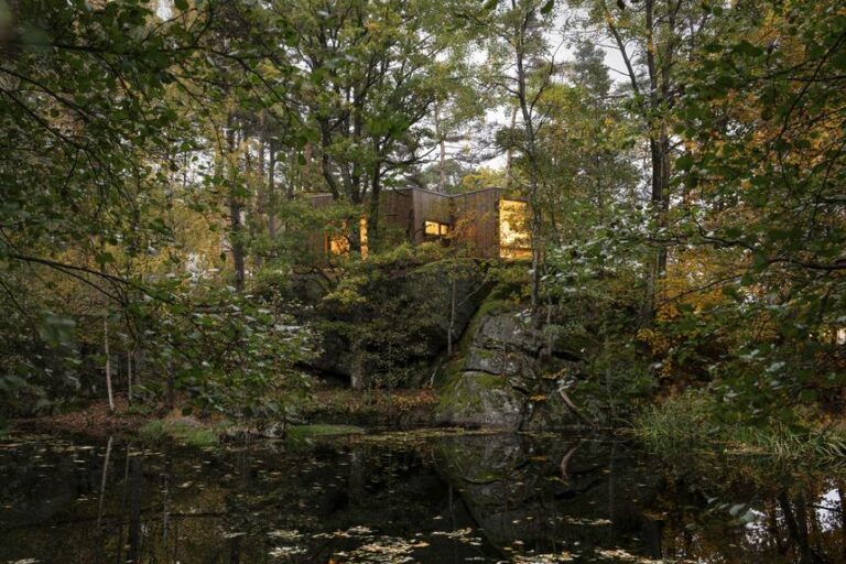 NORUEGA CONSTRUYE HOSPITALES EN EL BOSQUE PARA UNA MEJOR SANACIÓN #Arquitecturademadera