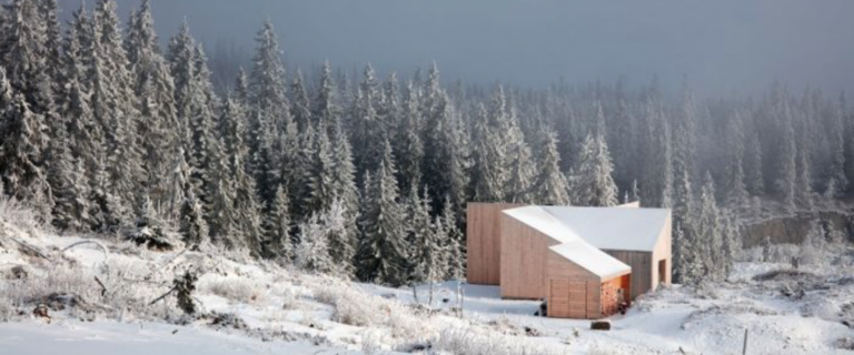 CASA REVESTIDA CON MADERA Y VISTAS A UN BOSQUE NORUEGO #Arquitecturademadera