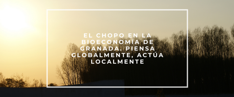 EL CHOPO EN LA BIOECONOMÍA DE GRANADA. PIENSA GLOBALMENTE, ACTÚA LOCALMENTE